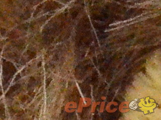 //timgm.eprice.com.tw/tw/dc/img/2011-05/02/16842/kitleong_3_Nikon-D5100_f1aa02b973a2d1f044da717c664b0c04.JPG