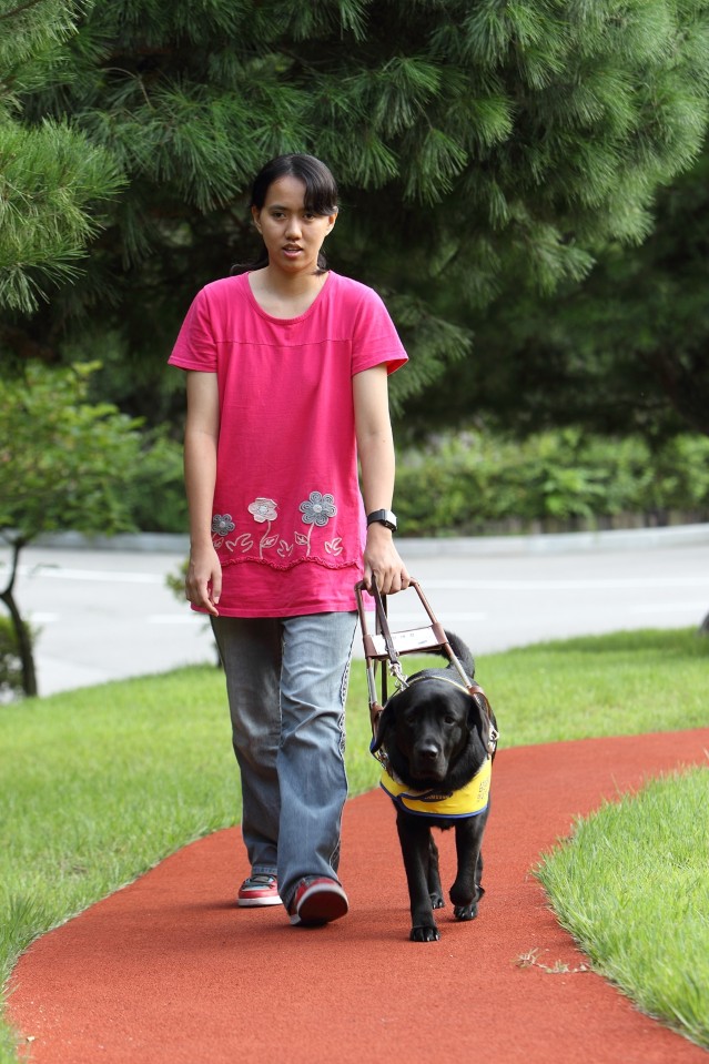台韓合作幫助視障者尋覓導盲犬伴的案例再添典範.JPG