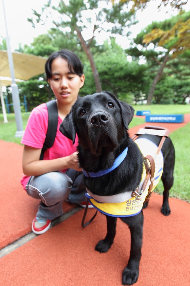靖茹親赴韓國與導盲犬Tamra度過4天共同訓練.JPG