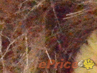 //timgm.eprice.com.tw/tw/dc/img/2011-05/02/16842/kitleong_3_Nikon-D5100_c5126a1a179d0a340557188e0a3f2b90.JPG