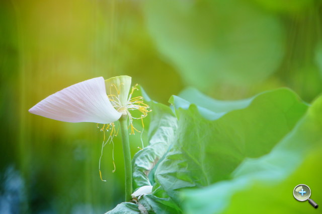 //timgm.eprice.com.tw/tw/dc/img/2011-06/23/17828/kitleong_5_Sony-NEX-5_2e6f7b889c6b00965b95ddad57e87686.JPG