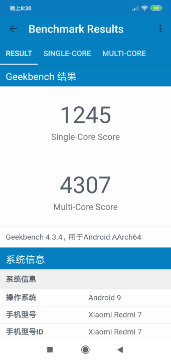 Screenshot_2019-06-16-20-30-05-498_com.primatelabs.geekbench.png