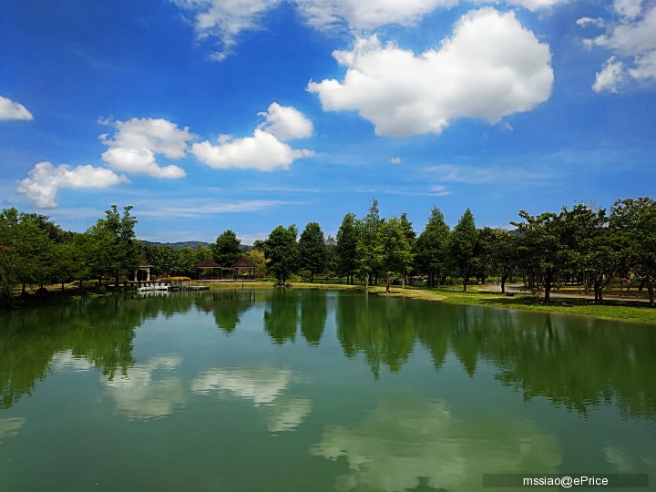 夏日照片分享 with ZenFone6
