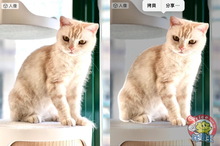 【小技巧】iOS 16 新增快速照片去背法，一秒就可將拍攝主體去背