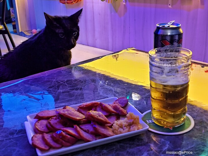 ROG 7 照片分享 煙火 寵物 街景 食物 黑貓很難拍...