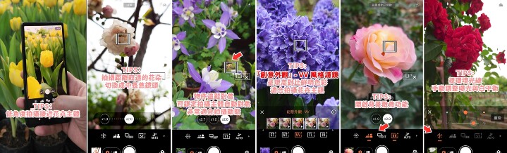 圖說、使用 Xperia 1 V 與 Xperia 5 V 輕鬆拍出質感花卉.jpg