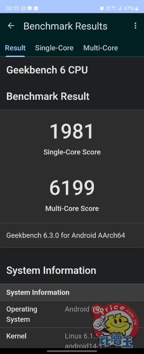 Screenshot_20240718_001347_Geekbench 6.jpg