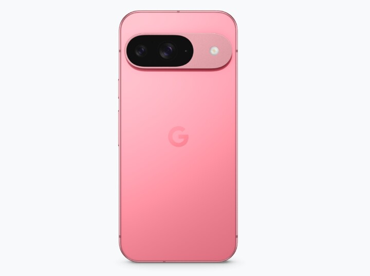 Google Pixel 9 介紹圖片