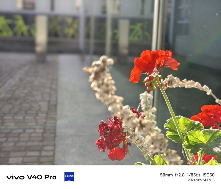 vivo V40 Pro 德國慕尼黑大量實拍照片分享