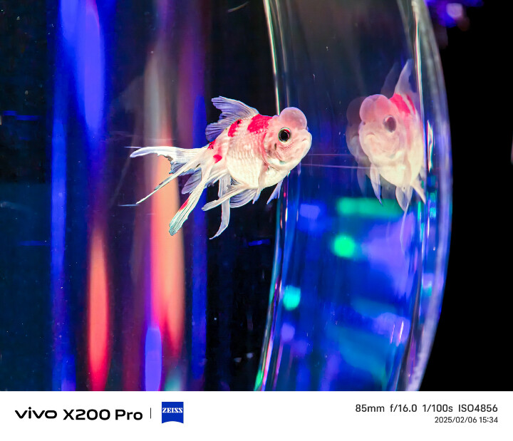 【讓人驚豔的 vivo X200 Pro 新機初體驗】