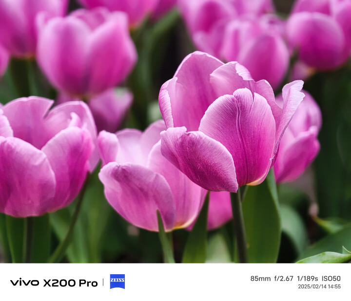 【讓人驚豔的 vivo X200 Pro 新機初體驗】