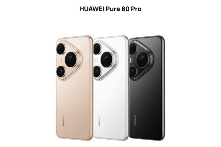 PURA8003.jpg PURA8003.jpg