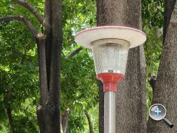 IMG20250618112437.jpg