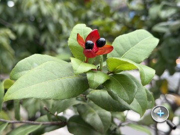 IMG_0097.jpeg