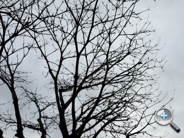 IMG_0101.jpeg