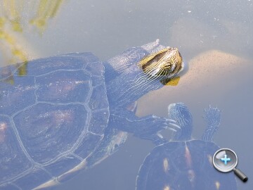 IMG20251004152503.jpg IMG20251004152503.jpg