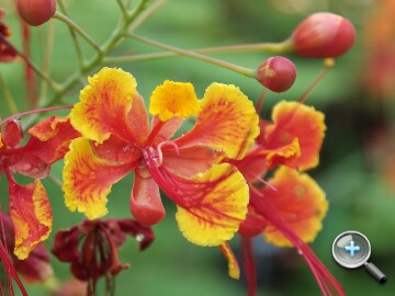 IMG20251004153547.jpg IMG20251004153547.jpg