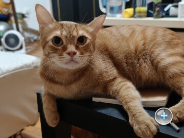 IMG20251004012741.jpg IMG20251004012741.jpg