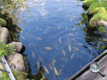 IMG20251004154323.jpg IMG20251004154323.jpg