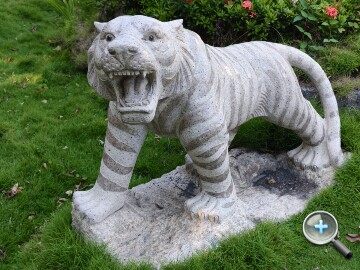 IMG20251004152228.jpg IMG20251004152228.jpg