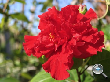 IMG20251004152254.jpg IMG20251004152254.jpg