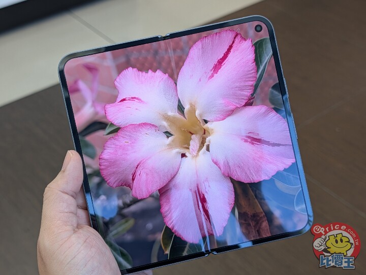 PXL_20251013_081821026.jpg PXL_20251013_081821026.jpg