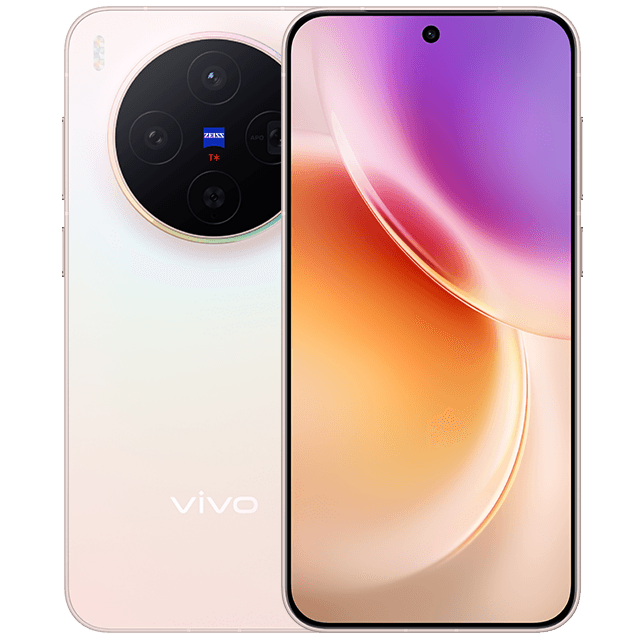vivo X300