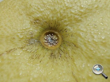 IMG_20251113_162507111_HDR.jpg IMG_20251113_162507111_HDR.jpg