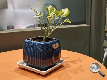 IMG_20251113_200740968_HDR.jpg IMG_20251113_200740968_HDR.jpg