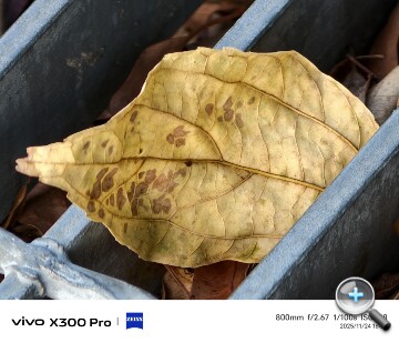 IMG_20251124_162338.jpg IMG_20251124_162338.jpg