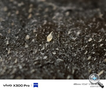 IMG_20251120_194933.jpg IMG_20251120_194933.jpg