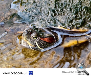 IMG_20251124_162953.jpg IMG_20251124_162953.jpg