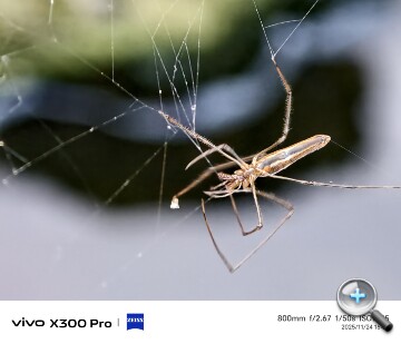 IMG_20251124_163450.jpg IMG_20251124_163450.jpg