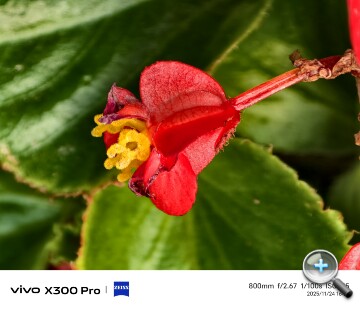 IMG_20251124_162759.jpg IMG_20251124_162759.jpg