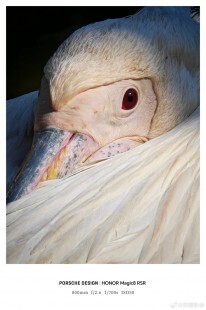 再有一品牌加入手機長焦擴充行列  Honor 新機將支援可拆式遠攝鏡頭，遠攝鏡頭再進化