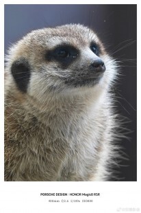 再有一品牌加入手機長焦擴充行列  Honor 新機將支援可拆式遠攝鏡頭，遠攝鏡頭再進化