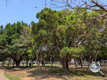 Google Pixel 10a 外觀、性能、續航、相機、開箱實測