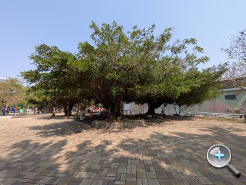 Google Pixel 10a 外觀、性能、續航、相機、開箱實測