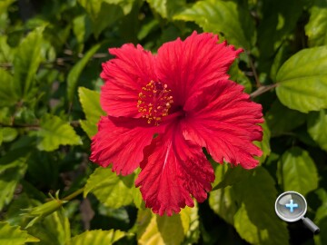 Google Pixel 10a 外觀、性能、續航、相機、開箱實測