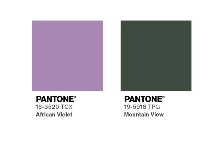 持續擴充摺疊螢幕產品，motorola 傳將在國際市場推出 razr 70+