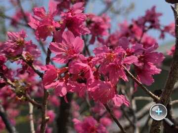 更輕巧的全能旗艦：Samsung Galaxy S26 Ultra 外觀、性能、續航、影音、相機、開箱測試