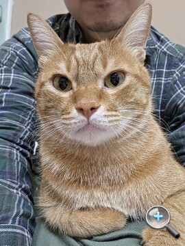 更輕巧的全能旗艦：Samsung Galaxy S26 Ultra 外觀、性能、續航、影音、相機、開箱測試