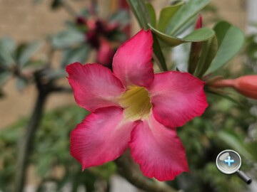 更輕巧的全能旗艦：Samsung Galaxy S26 Ultra 外觀、性能、續航、影音、相機、開箱測試