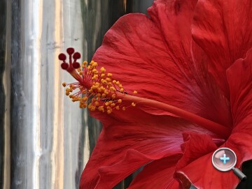 連續光學變焦加持：小米 17 Ultra 外觀、影音、相機、性能、電池、開箱實測