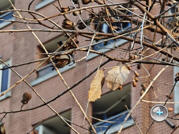 連續光學變焦加持：小米 17 Ultra 外觀、影音、相機、性能、電池、開箱實測