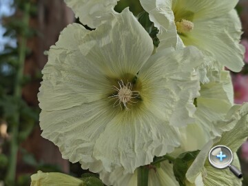 連續光學變焦加持：小米 17 Ultra 外觀、影音、相機、性能、電池、開箱實測