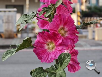 連續光學變焦加持：小米 17 Ultra 外觀、影音、相機、性能、電池、開箱實測