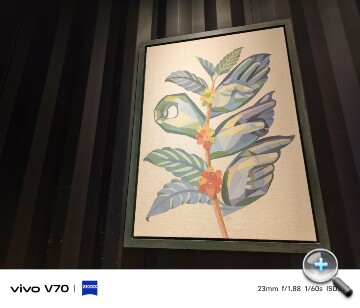 vivo V70開箱動手玩：超過24小時的電池續航力與好拍的蔡司3鏡頭主相機，真的超級有料！