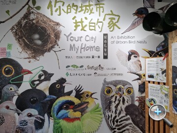 三星 Galaxy A37 5G 評測：支援 eSIM、平衡感極佳的中階之選