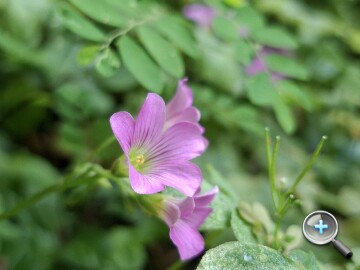 三星 Galaxy A37 5G 評測：支援 eSIM、平衡感極佳的中階之選